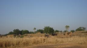 Paysage rural région de Diangounté (Mali)