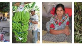 Couverture: commerce équitable au service des organisations paysannes