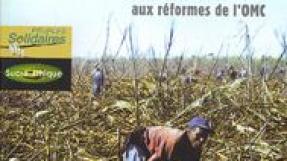 Couverture Un sucre au goût amer