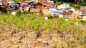 Madagascar paysage champs village