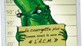 Visuel de l'abominable courgette masquée