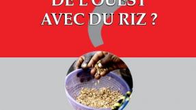 Couverture rapport "Peut-on nourrir l'Afrique de l'Ouest avec du riz ?"