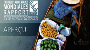 Couverture rapport IFPRI sur les politiques alimentaires en 2012