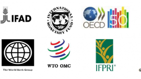 Logo agences internationales associées