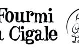 logo de La Fourmi & la Cigale