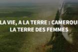 A la vie, à la terre : Cameroun, la terre des femmes