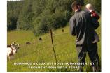 Affiche Leurs champs du coeur