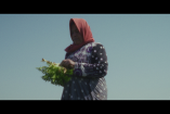 Image extraite du film "Seeds of digninty"