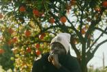 Comment vivent les cueilleur.ses des fruits que nous achetons ?