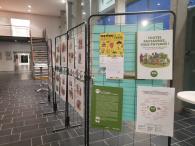 Exposition des planches de la bande-dessinée "Toutes paysannes, Tous paysans" de l'association SOL, illustrée par Claire Robert.