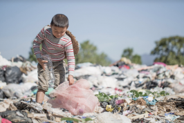 Enfant ramassant des bouteilles : photo du rapport 2019 de la FAO sur l'état de l'insécurité alimentaire dans le monde