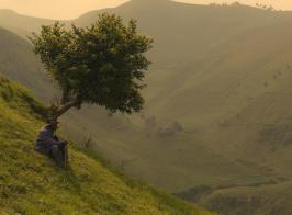 Visuel du film Amuka, l'éveil des paysans congolais
