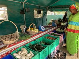 Femmes achetant des légumes dans une coopérative, Sénégal