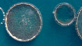 une ferme aquacole en Grève vue d'un drone