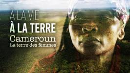 Affiche film