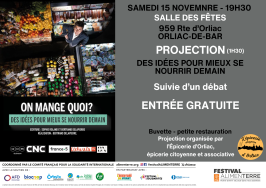 Affiche du film et programme de la soirée