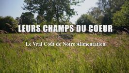 Lurs champs du coeur