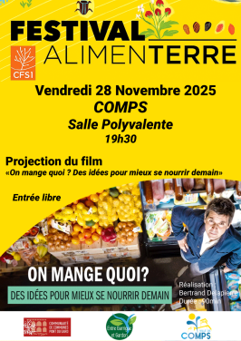 projection film - Comps - 28 nov - 19 h 30