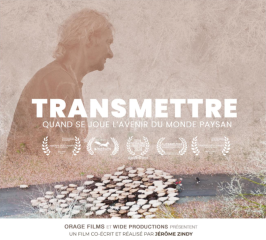 Affiche film transmettre, moutons