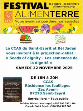 Affiche Projection CCAS du Saint-Esprit 