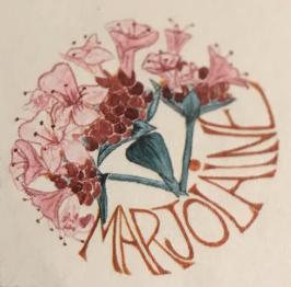 AMAP MARJOLAINE VILLENAVE d'ORNON