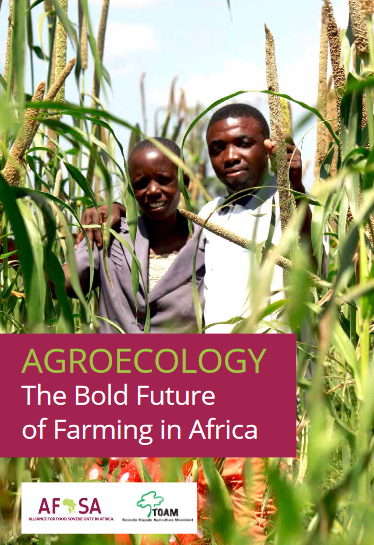 L’agroécologie, l’avenir audacieux de l’agriculture en Afrique