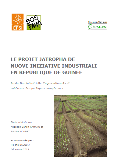 Production d’agrocarburants et accaparements de terres en Guinée, conséquences de la politique énergétique de l'UE