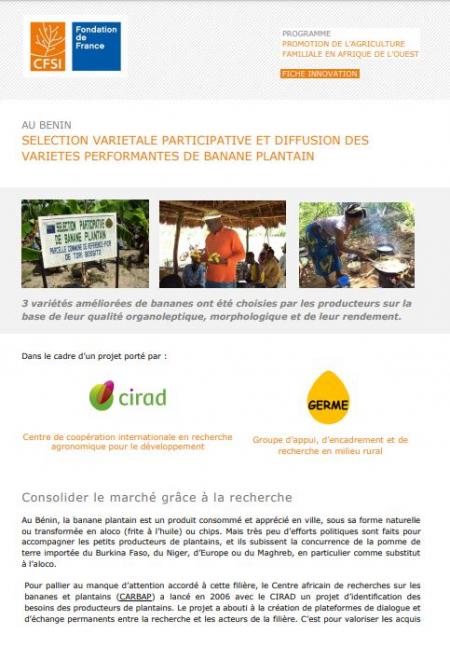 Sélection participative et diffusion de variétés performantes de banane plantain