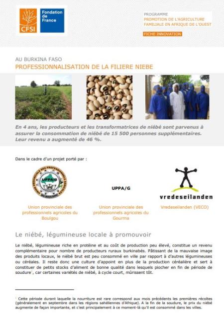 Professionnalisation de la filière niébé