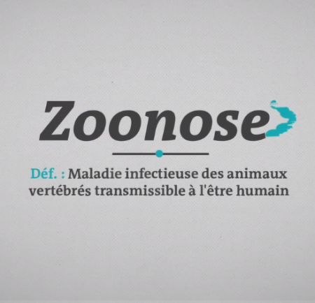 Couverture vidéo "Zoonoses" Le Monde, 2020