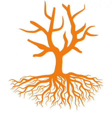 Image d'un arbre avec des racines et des branches