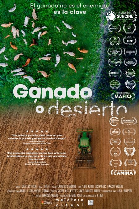 affiche originale en espagnol 