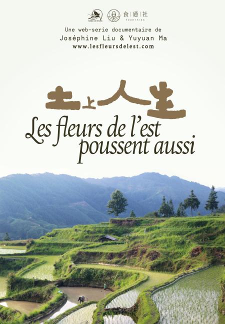 Affiche du film