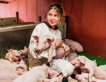 Photo du film "Une vie de cochon"