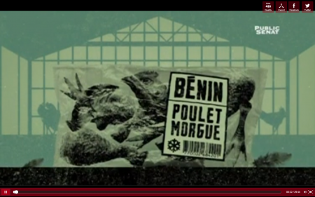 Visuel du film "Bénin, poulet morgue"