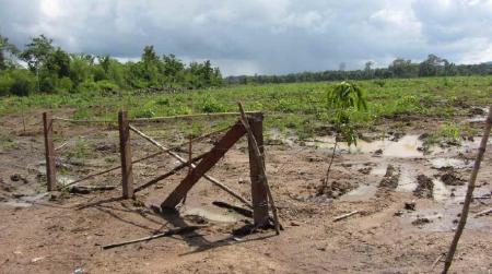 Cambodge, Photo de Licadho