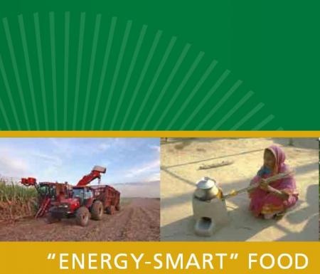 FAO Energy-smart Food for Climate and People Cover