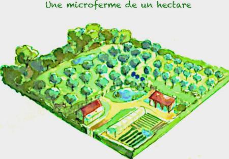 Ferme du Bec Hellouin, Maraichage biologique permaculturel