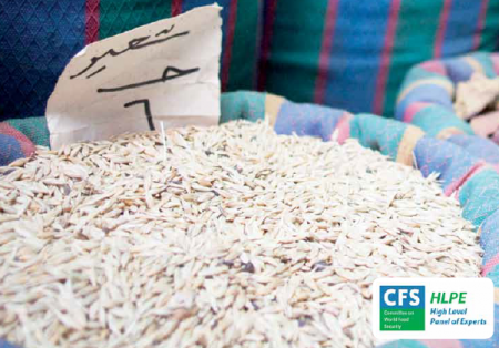 couverture rapport CFS sac de riz