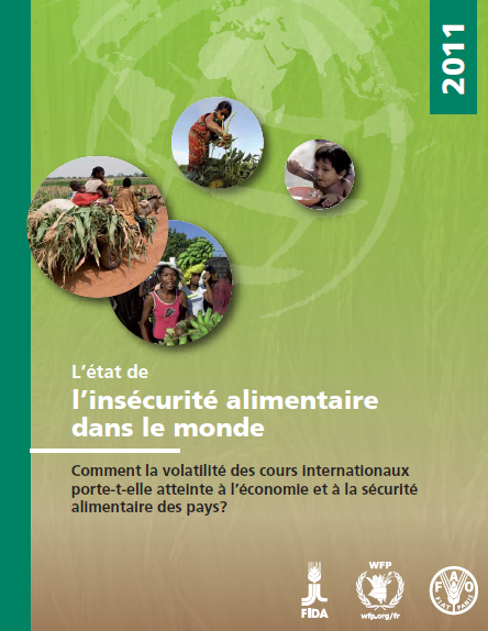 Couverture rapport FAO