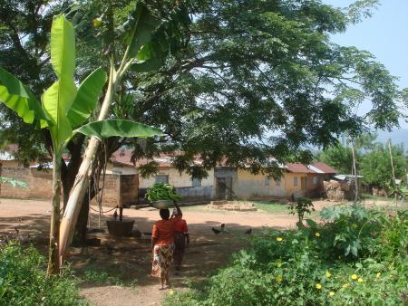 Village Togo (Tové proche Kpalimé)