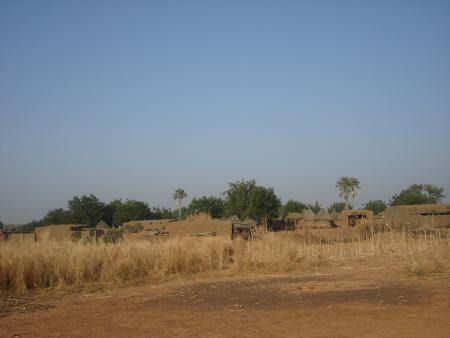 Paysage rural région de Diangounté (Mali)