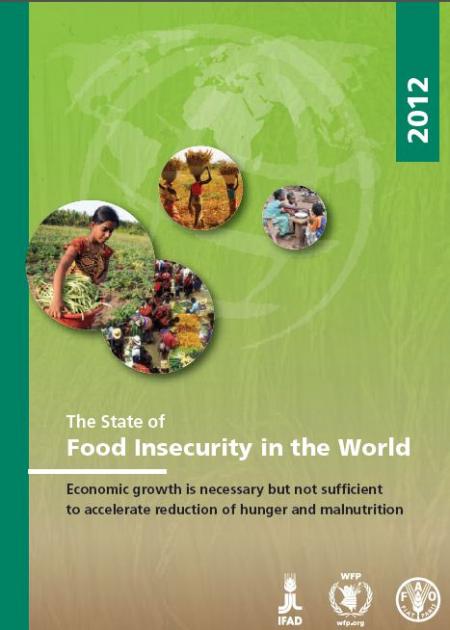 Couverture rapport 2012 Etat de l'insécurité dans le monde