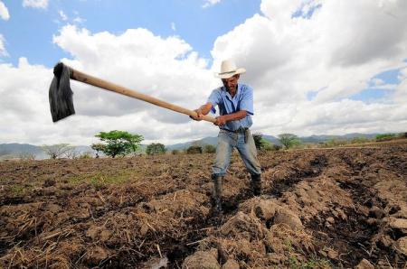 Cultivateur de maïs près d'Alausa, Honduras © Neil Palmer (CIAT) 