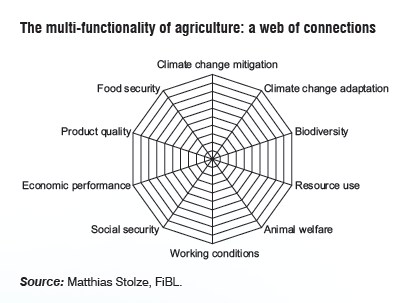 The multi-functionality of agriculture: a web of connections