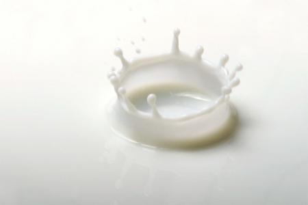 Sur les sentiers du lait, outil EAD Jagros