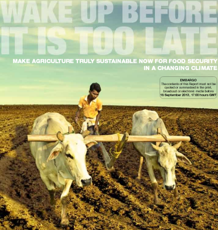 UNCTAD Trade & Environment Review 2013